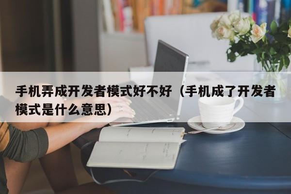 手机弄成开发者模式好不好（手机成了开发者模式是什么意思）