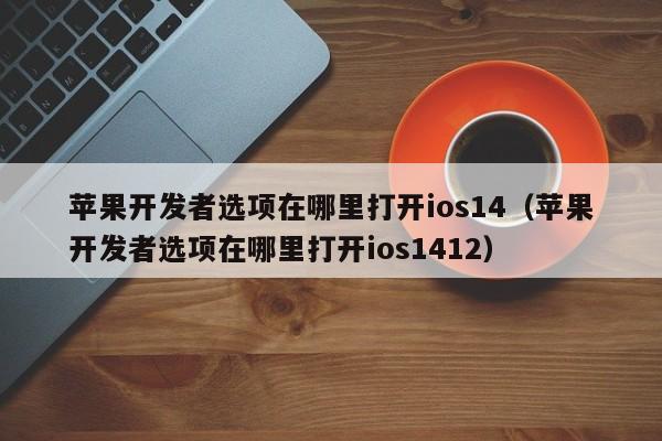 苹果开发者选项在哪里打开ios14（苹果开发者选项在哪里打开ios1412）